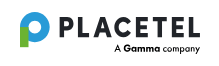 Placetel Logo